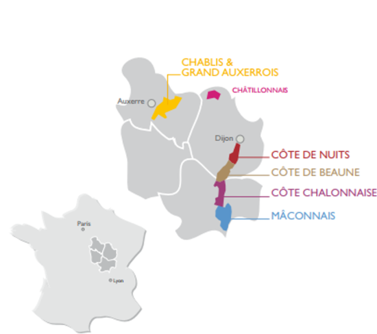 Carte des vins de Bourgogne