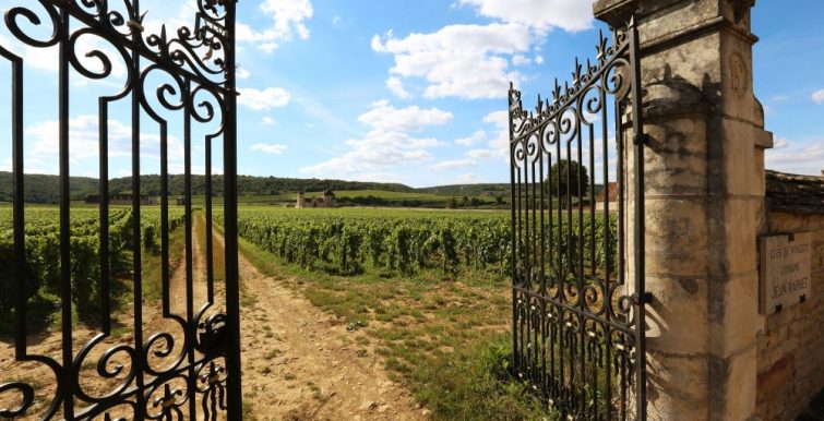 Clos de Bourgogne