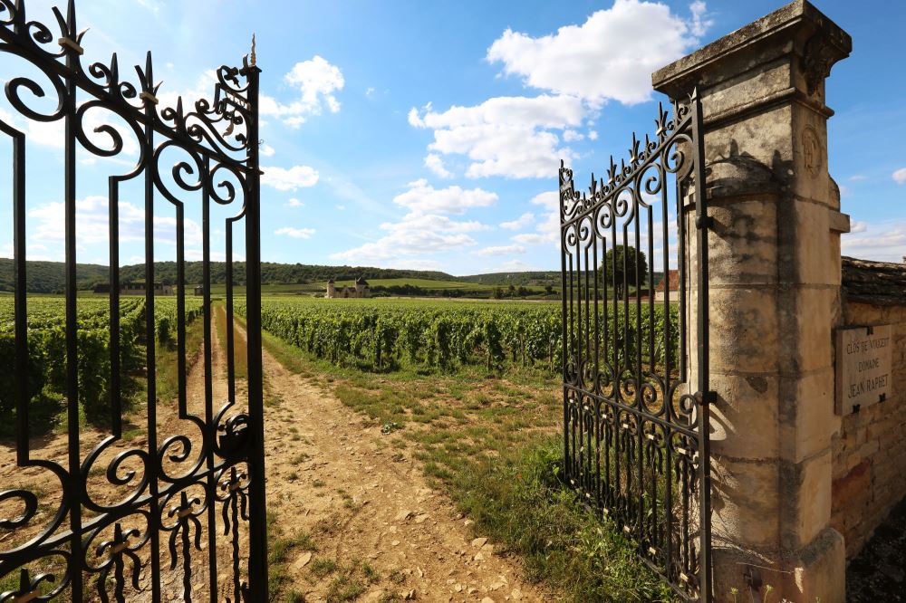 Clos de Bourgogne