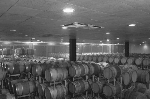 Cave du Domaine Poliziano à Montepulciano en Toscane