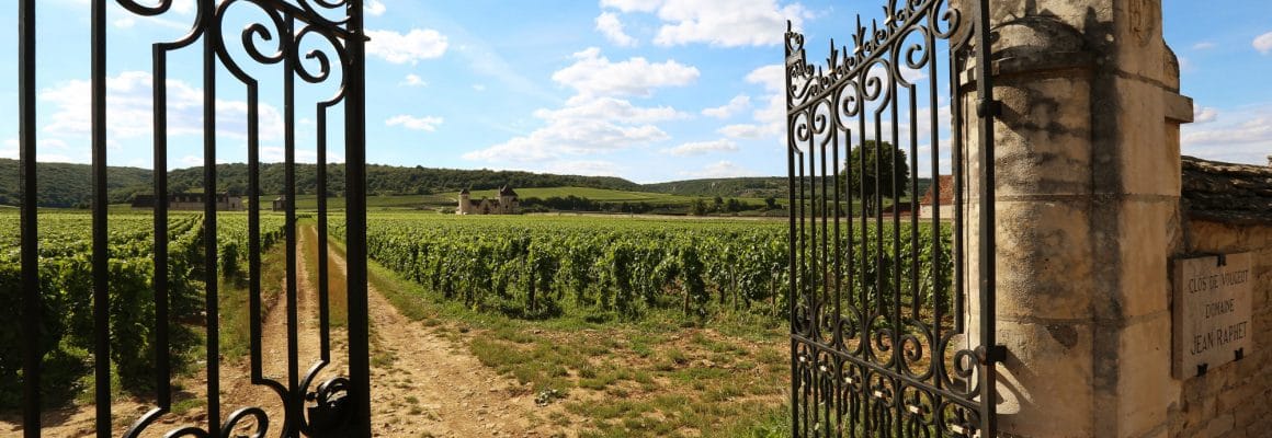 parcelle du Clos de Vougeot