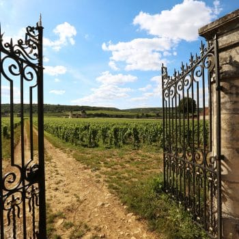 parcelle du Clos de Vougeot