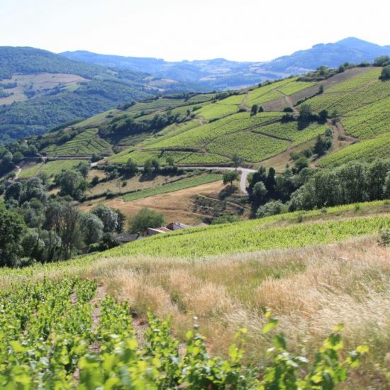 Vignobles du Beaujolais