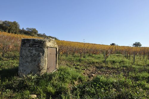 Vignoble du Clos du Mont-Olivet