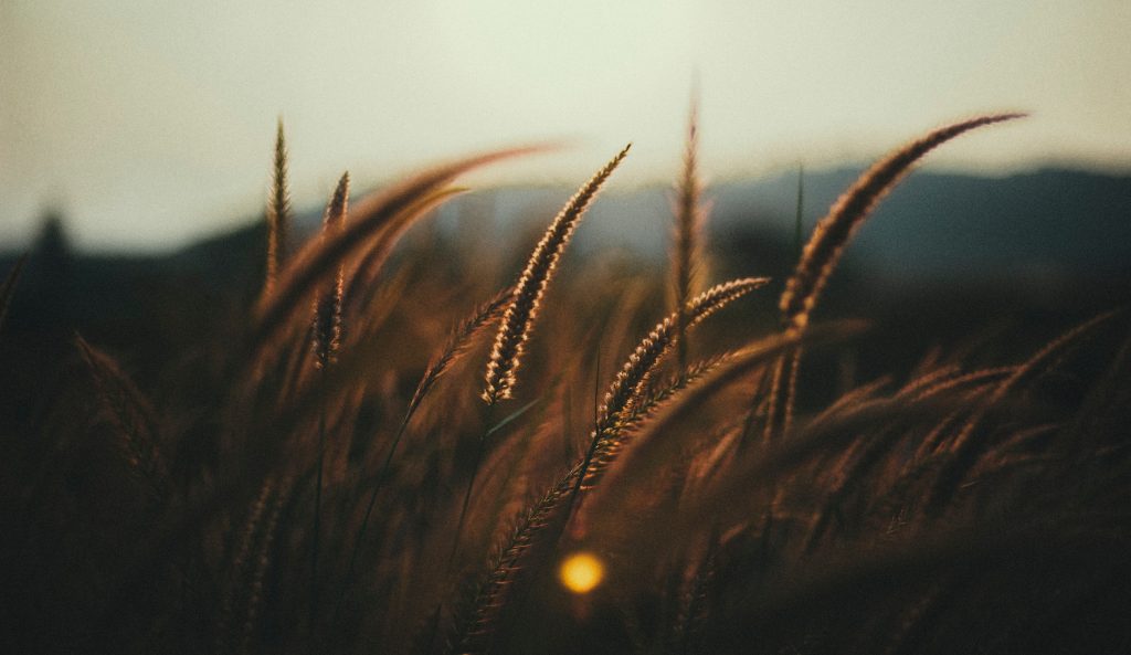 Photo by Cezanne Ali on Unsplash