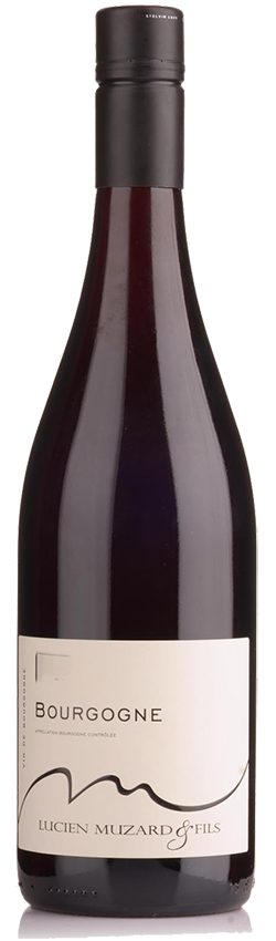 Bourgogne 2016 du Domaine Lucien Muzard