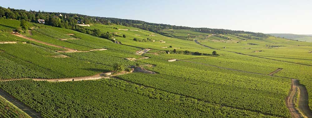 Vignoble de la Côte de Beaune