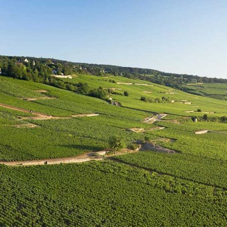 Vignoble de la Côte de Beaune