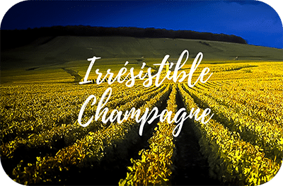 Vignoble de Champagne