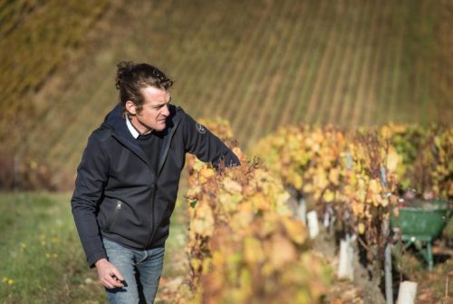 Richard Rottiers du Doamine des Malandes dans les vignes