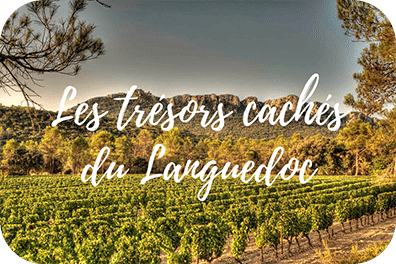 Vignoble du Languedoc