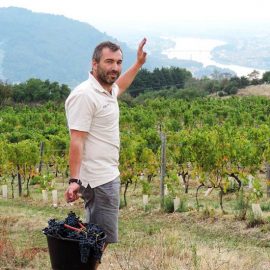 Vignoble du domaine Michelas St Jemms