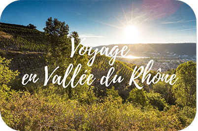 Vignoble de la Vallée du Rhône