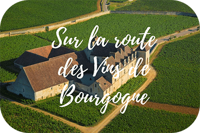 vins de bourgogne