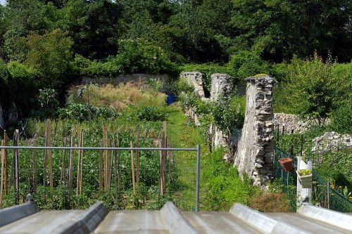 Murs à pêches Montreuil