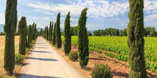 Domaine de la Grande Bauquière