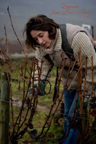 Fabienne Bony travaille dans les vignes