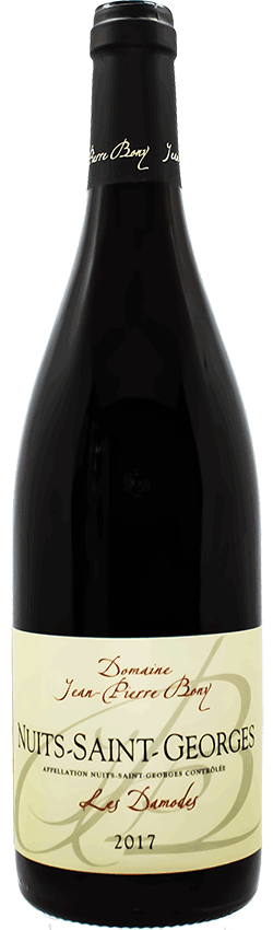 Bouteille de Nuits-Saint-Georges les Damodes du Domaine Jean-Pierre Bony