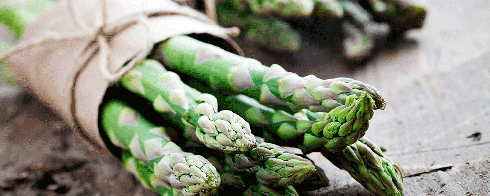 Asperge de Pâques