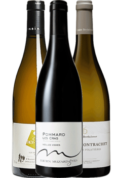 Bouteilles de vins du Coffret les Beaux Flacons