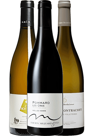 Bouteilles de vins du Coffret les Beaux Flacons