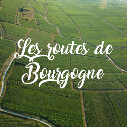 Les Climats de Bourgogne