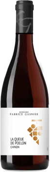 Bouteille de Chinon La Queue de Poelon du Domaine Fabrice Gasnier