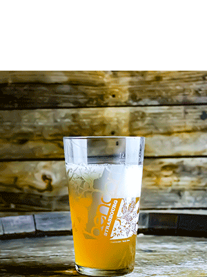 Verre à pinte brasserie Bendorf