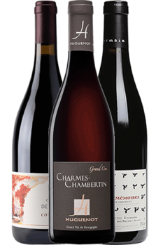Coffret Vins de 3 bouteilles Prêt à offrir Les Grands Rouges