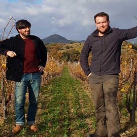 Quentin et Louis Modat du Domaine Modat en Côtes du Roussillon