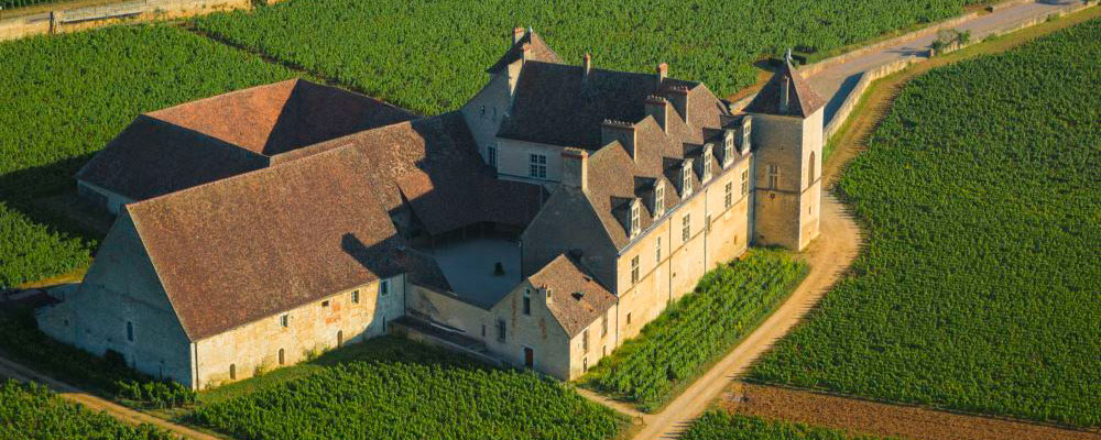 Vignoble de Bourgogne et Château du Clos de Vougeot