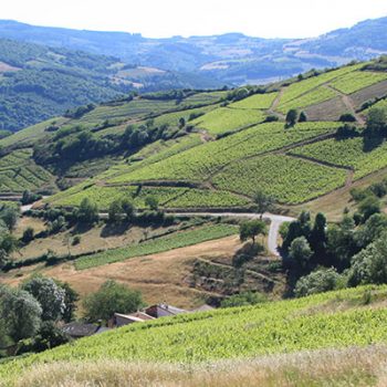 Vignoble et vins du Beaujolais