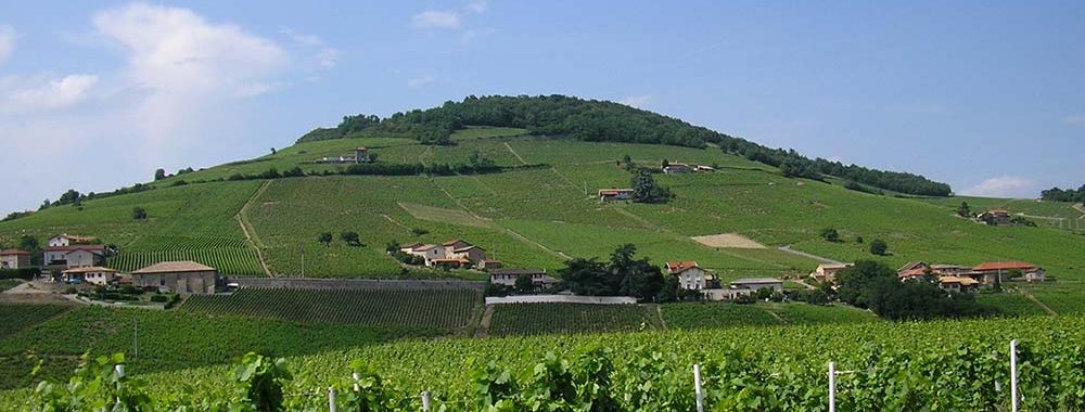 Vignoble du Beaujolais et Mont Brouilly