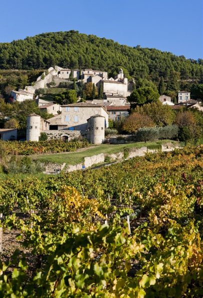 Vignoble de Gigondas en Vallée du Rhône
