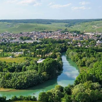 Vignoble en coteaux de Champagne