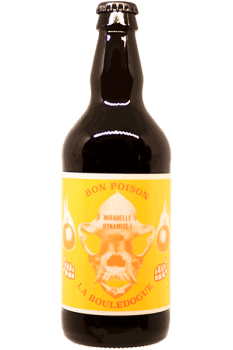 Bouteille de Gose Mirabelle de la brasserie Bon Poison