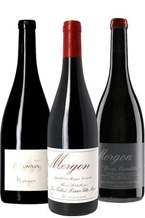 Bouteilles de vin du Domaine Jean Foillard