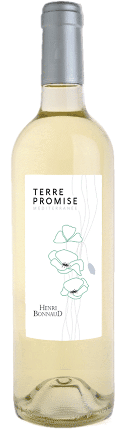 Côtes de Provence Blanc Terre Promise du Château Henri Bonnaud