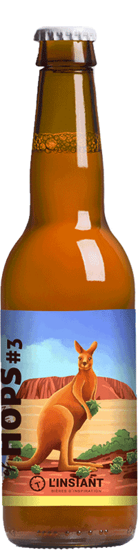 Bouteille de bière artisanale World of Hops 3 Brasserie L'Instant