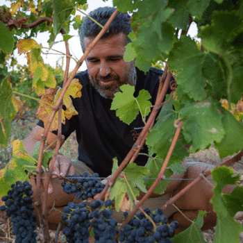 David Reynaud du Domaine Les Bruyères