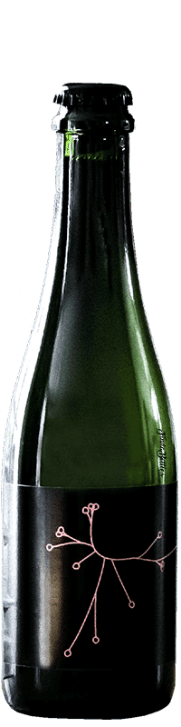 Gose Brett brasserie Spo