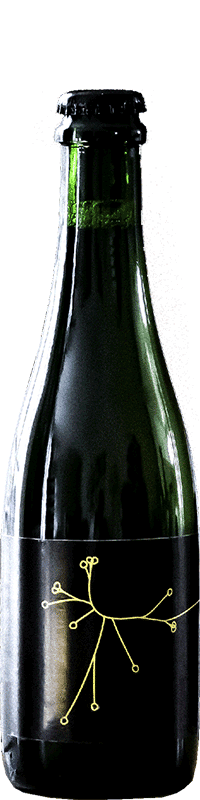 saison brett brasserie spo