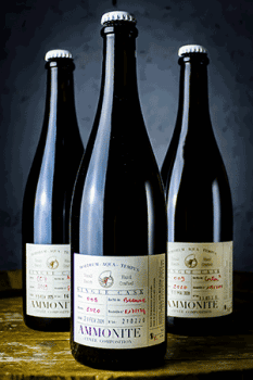 Coffret single cask de la Brasserie Ammonite