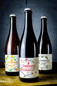 Coffret cuvees vendanges de la Brasserie Ammonite