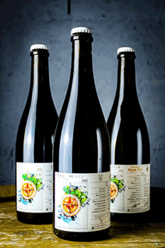 Coffret vinifera de la Brasserie Ammonite