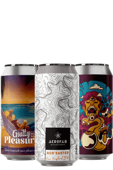 Coffret Canettes IPA Brasseries artisanales françaises