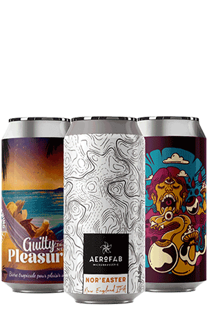 Coffret Canettes IPA Brasseries artisanales françaises