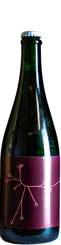 Brettanovinasse de la Brasserie SPO