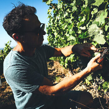 Nicolas Lebrun de l'Enclos des Braves