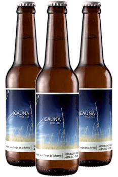Pack 12 bouteilles de bières artisanales Icauna Popihn
